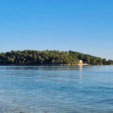 The House 2 Нидри